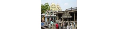 237. திருக்கச்சியேகம்பகம்